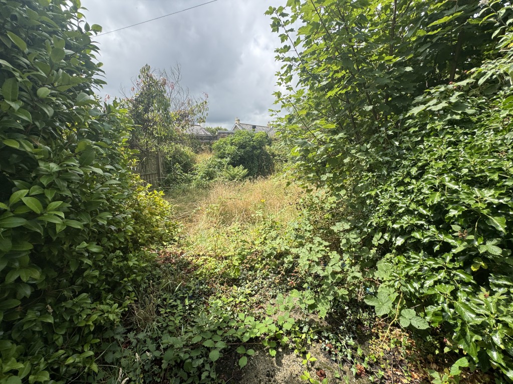 Lot: 118 - 	SEMI-DETACHED BUNGALOW FOR IMPROVEMENT - Rear garden